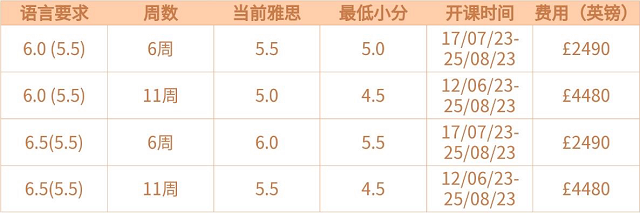 基尔大学老师亲授线上语言班课程.png