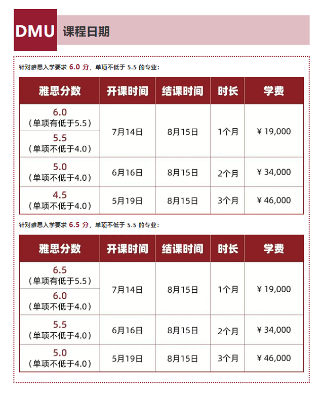 德蒙福特大学语言班安排.png